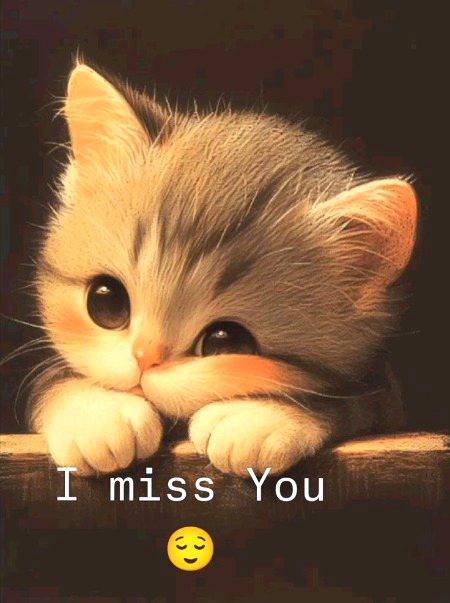 I Miss You🥺