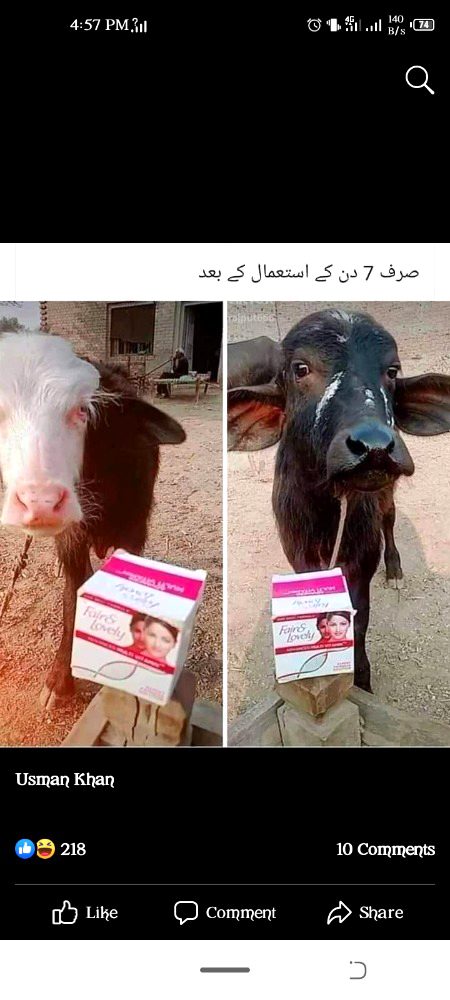 kea asa ho skta ha