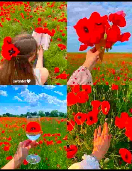 Beautiful People image