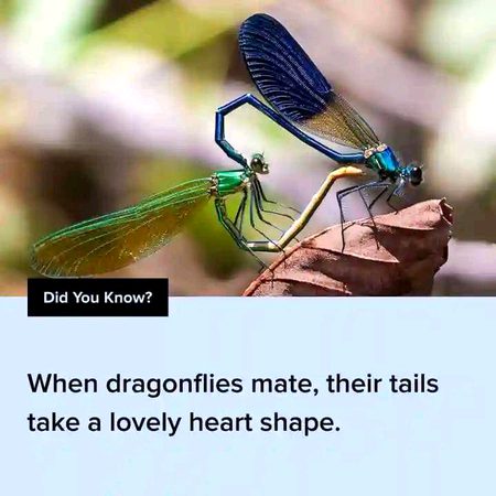 Interesting Posts image