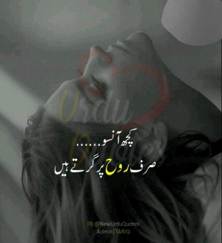 Maham jut