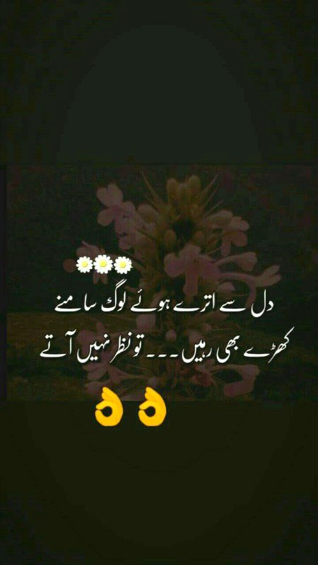 Attitude Quotes image