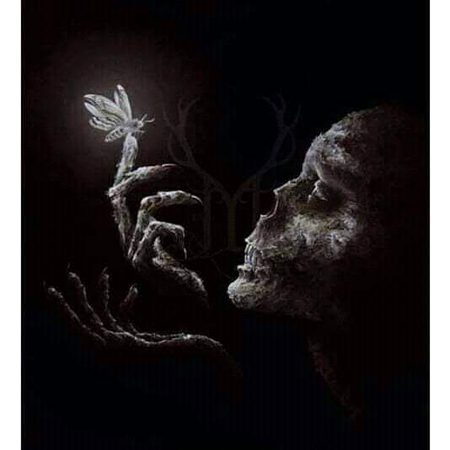 ناجانے کتنے درد ایسے ہیں ۔
جنہیں سر درد کا نام دیتا ہوں ۔۔۔