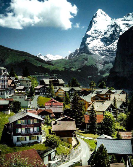 Beautiful Nature image