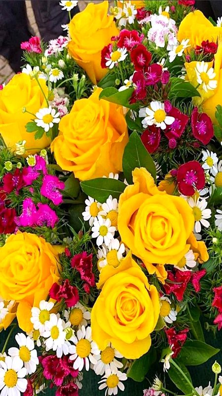 Nice flowers❤❤