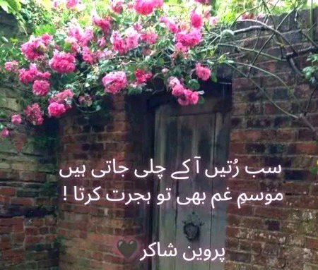 Parveen shakir 💔