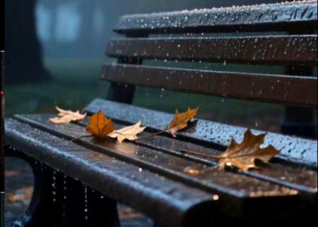 Beautiful Nature image