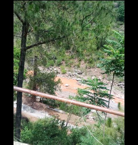 Beautiful Nature image