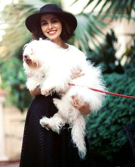 Pakistani Celebs image