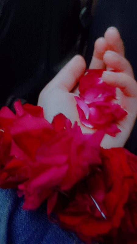 *بہت ملیں گے تمہیں ادب و آداب والے*😇🔥
*پر یاد آںٔے گی تمہیں بدتمیزیاں میری*😒🙌🏻💯