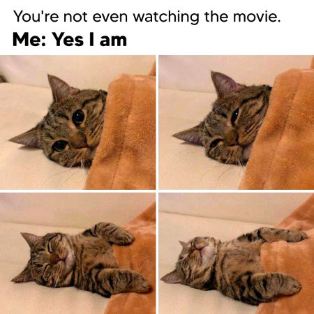 Memes & Satire image