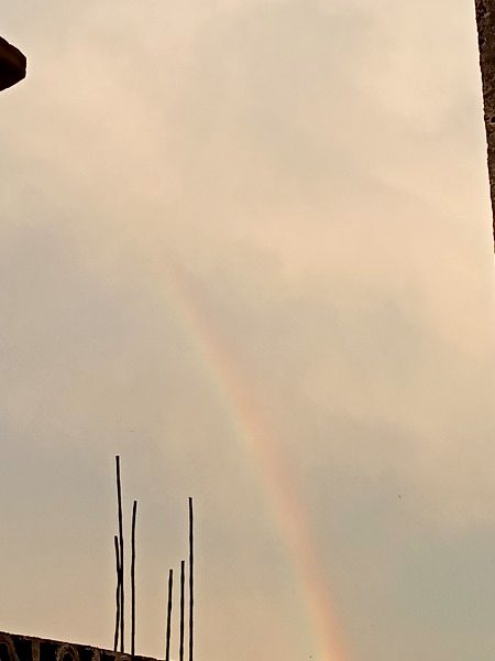 Beautiful Nature image