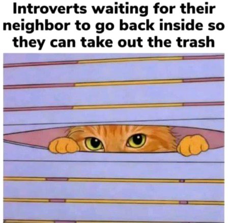 Memes & Satire image