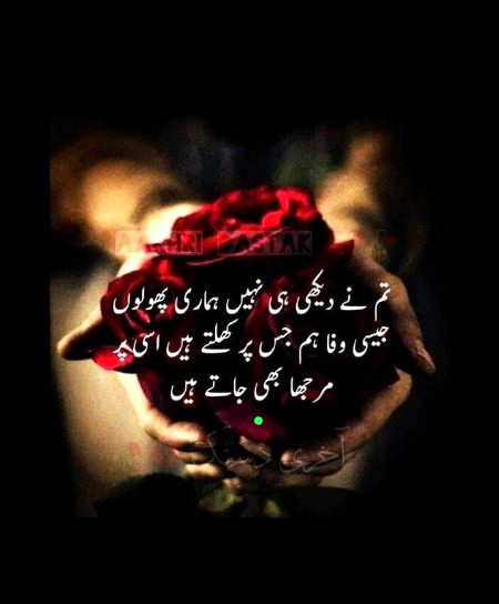 Attitude Poetry image