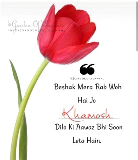 Beshak ❤️❤️❤️