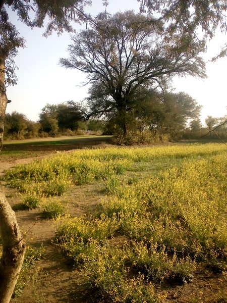 Beautiful Nature image