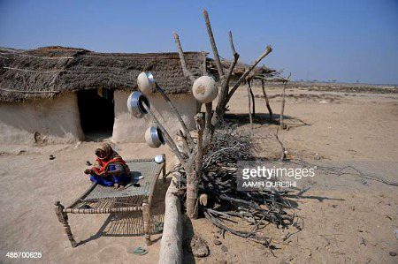 Beautiful Nature image