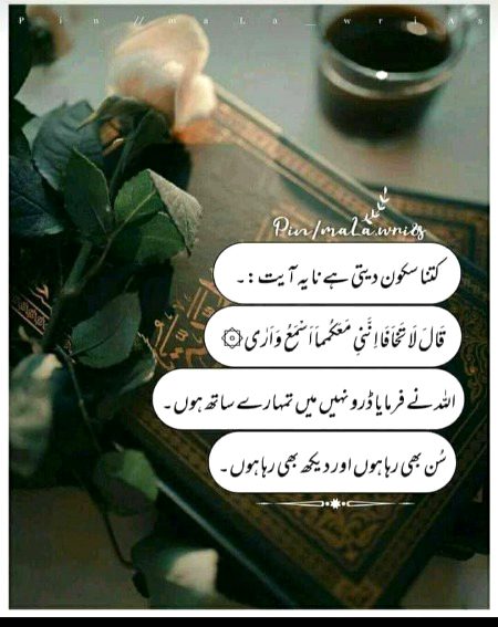 Islamic Quotes image