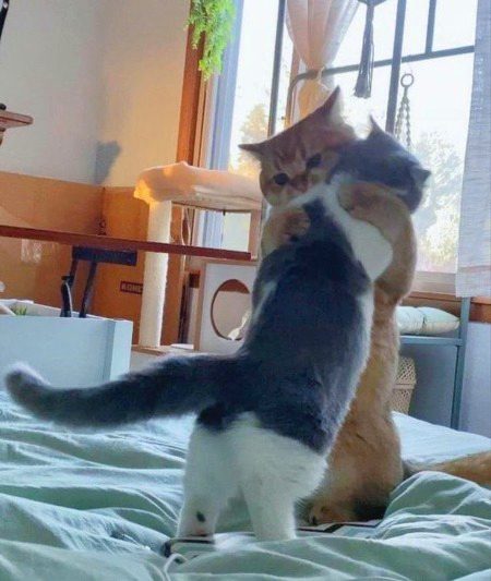 Beautiful Nature image