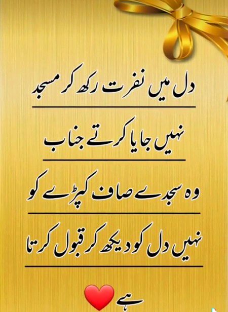 True Lines 💯☹️