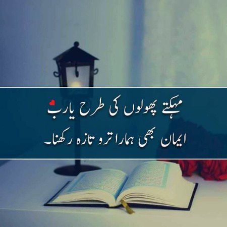 🎀🎀🎀
🍂🍂🍂
علی الطنطاوی رحمہ الله فرماتے ہیں:
 اور جان لو کہ ہر ساتھی جس کے ساتھ تم جاتے ہو، ہر وہ جگہ جہاں تم جاتے ہو، ہر کتاب پڑھتے ہو، اور ہر رائے سنتے ہو، اس کا ہر ایک اثر تمہاری روح پر ہوتا ہے جسے تم محسوس نہیں کرتے، لیکن وہ ایک چھوٹے سے بیج کی طرح زمین میں موجود ہوتا ہے۔
 اور مجھے لگتا ہے کہ اگر انہیں سوشل میڈیا  کا معلوم ہوتا، تو وہ اس میں ایک اضافہ کر دیتے: "اور ہر ایک جس کو آپ فالو کرتے ہیں۔" .