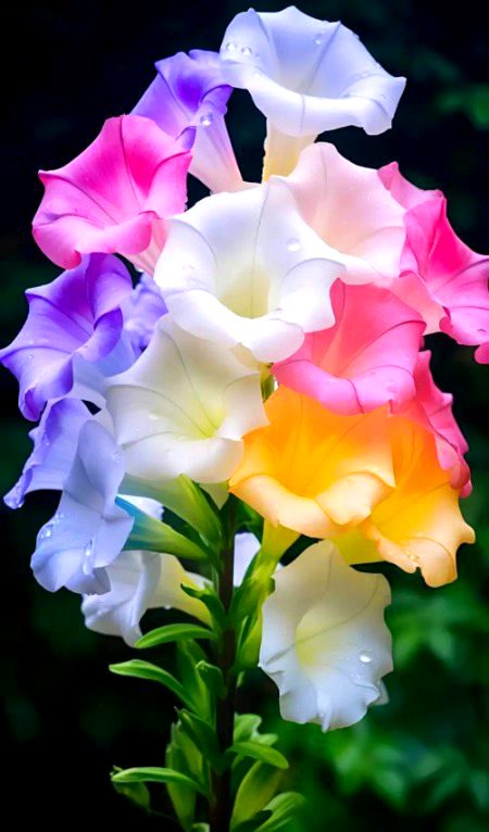 Beautiful Nature image