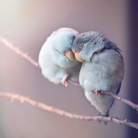 Beautiful Nature image