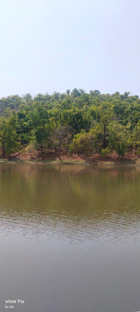 Beautiful Nature image