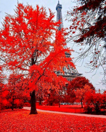 Beautiful Nature image