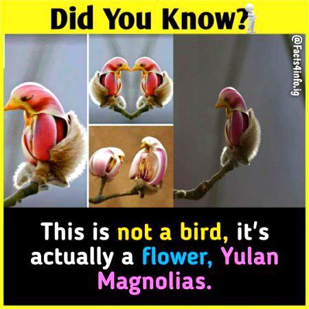 Interesting Posts image