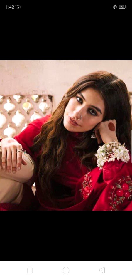 Pakistani Celebs image