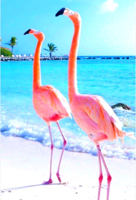 Beautiful Nature image