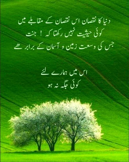 Islamic Quotes image