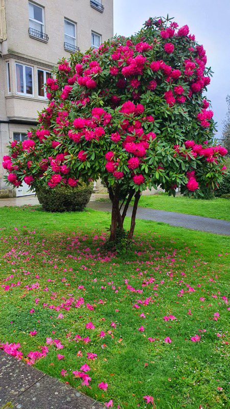 Beautiful Nature image