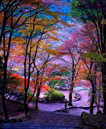 Beautiful Nature image