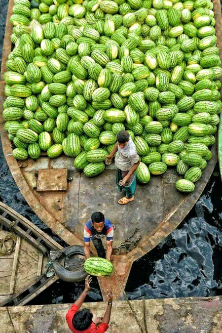 Beautiful Nature image