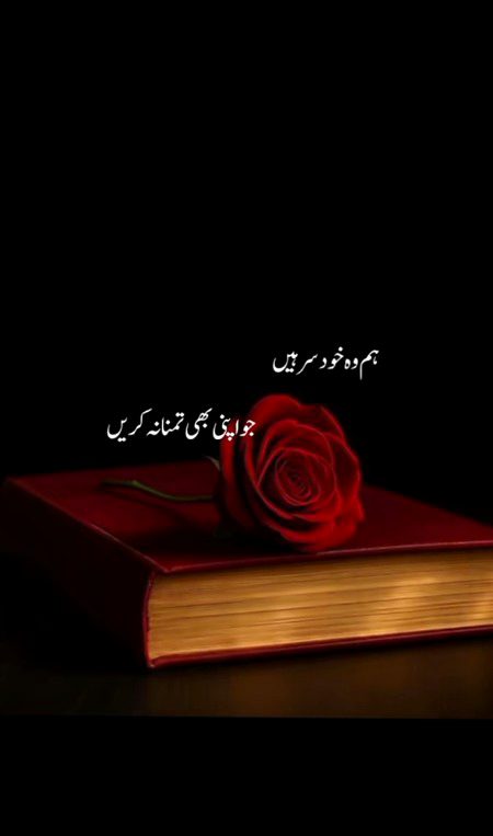 Attitude Quotes image