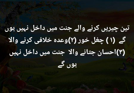 Islamic Quotes image