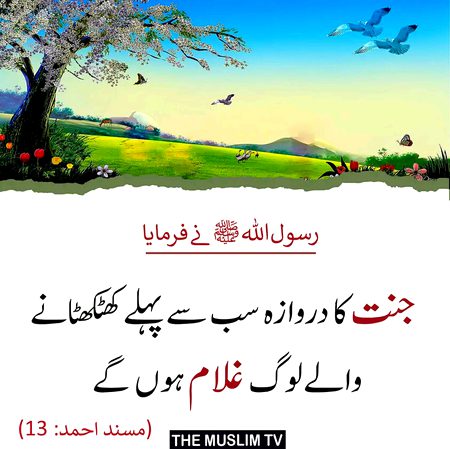 Islamic Quotes image