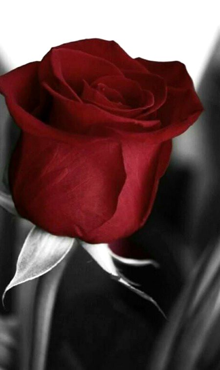 Beautiful Nature image