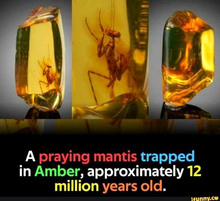 Interesting Posts image