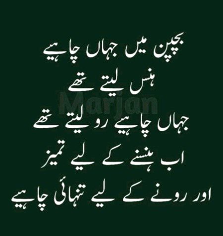 Attitude Quotes image