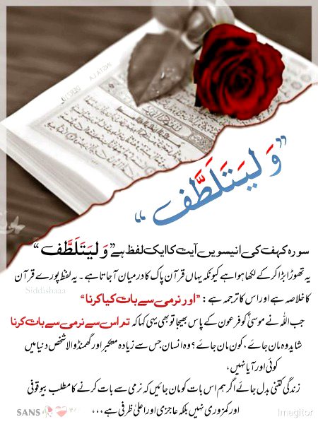 Islamic Quotes image