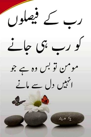 Islamic Quotes image