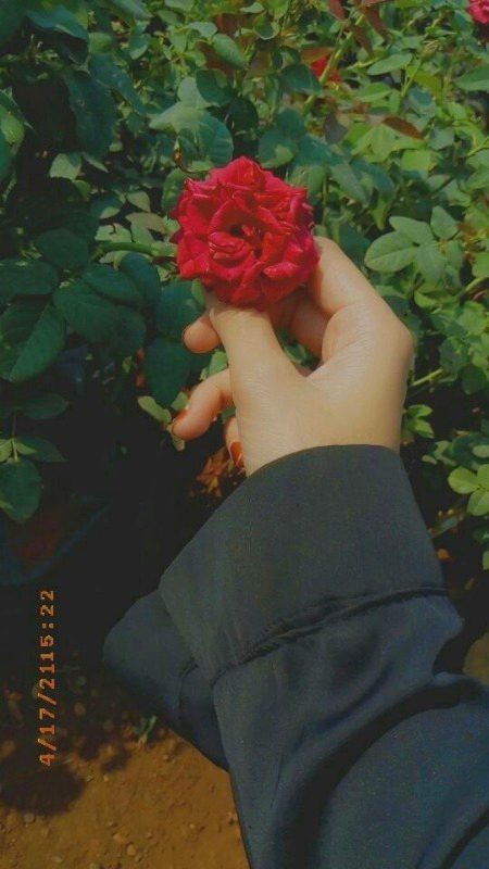 Beautiful Nature image