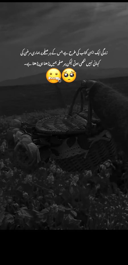 زندگی اک امتحاں😟