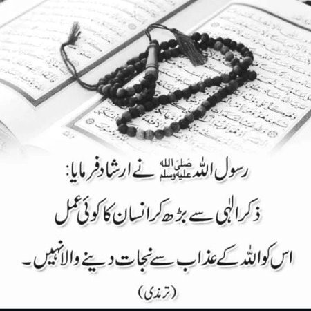 Islamic Quotes image