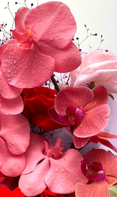 Beautiful Nature image