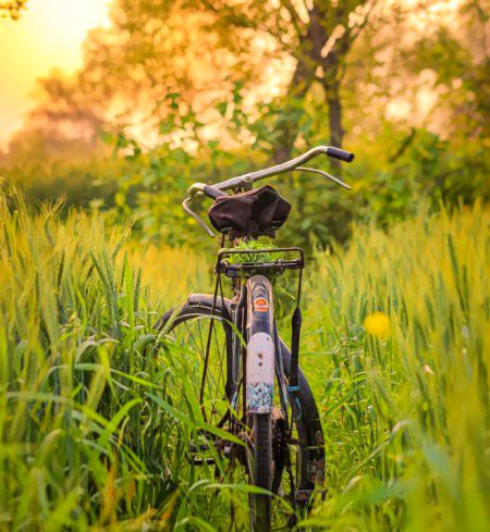 تو آسمان بخت کو چھوتی ہوئی سحر
میں دشت حادثات میں غربت کی شام ہوں