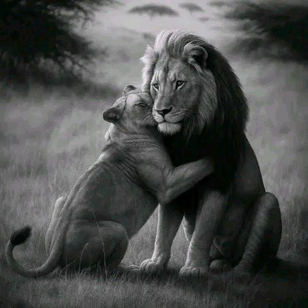 Beautiful Nature image